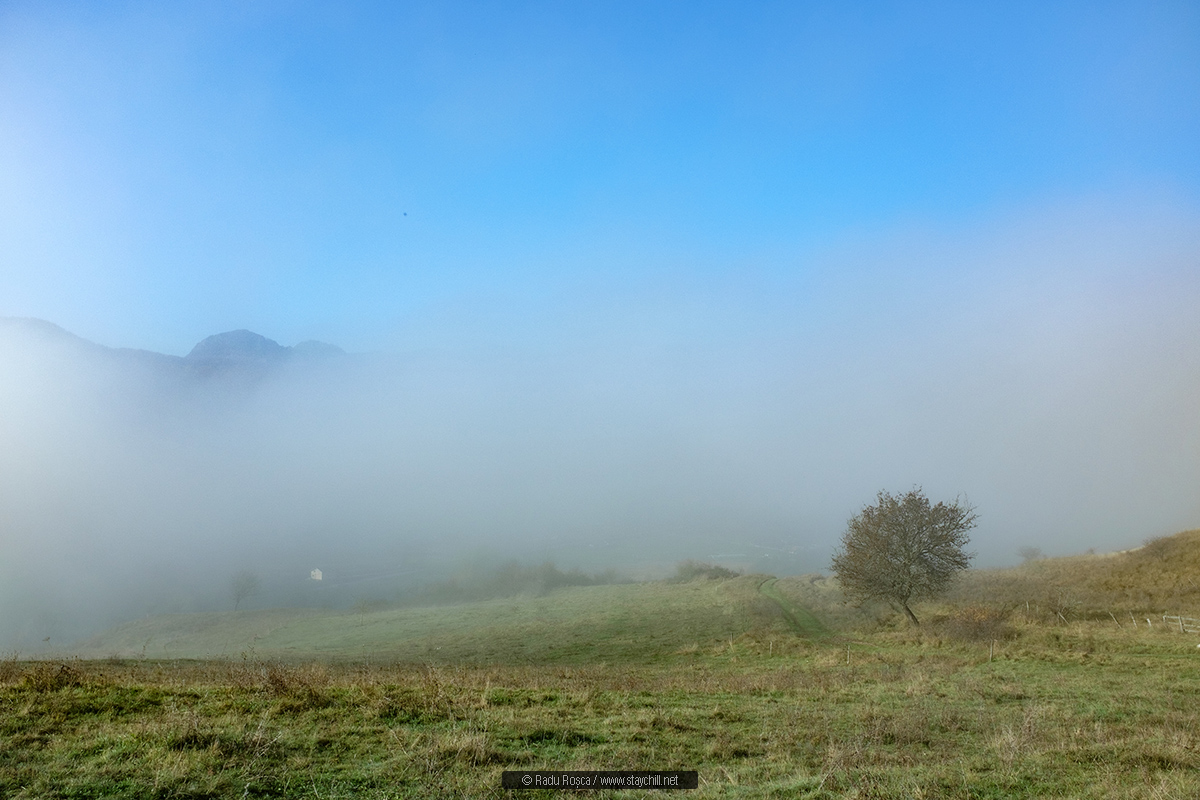 Morning veil